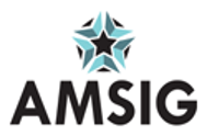 amisg-logo-rectangle-125